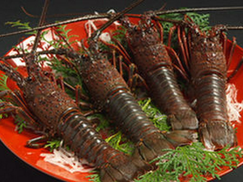 当店自慢の「伊勢えび」です。