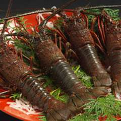 当店自慢の「伊勢えび」です。