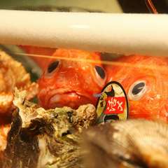 新鮮な素材を取り揃えております！