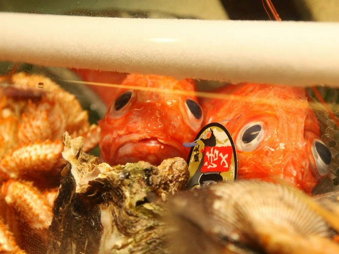 食材にこだわっている