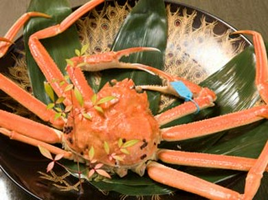 忘年会におすすめ