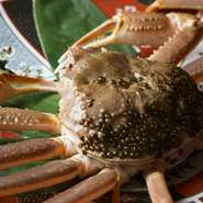 （要予約）※11月7日～3月20日期間限定