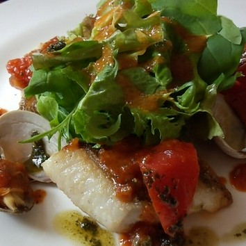 おまかせコース