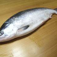 １万尾に1尾とか、1尾10万円などと言われる北海道の誇る最高級魚！ありがたいことに鮭漁師の友人から毎年送っていただいている。漁師とは本当に命懸けの仕事である。鮭児の味わいは言うまでもなく美味この上ない。上質な脂を纏った身を口にすれば恍惚としてしまう。感動的な美味しさの裏には命を懸けた漁師の熱い魂を頂いている事を忘れてはならない。これぞ自分のパワーの源である！ひたすら漁の無事を祈るばかりである。