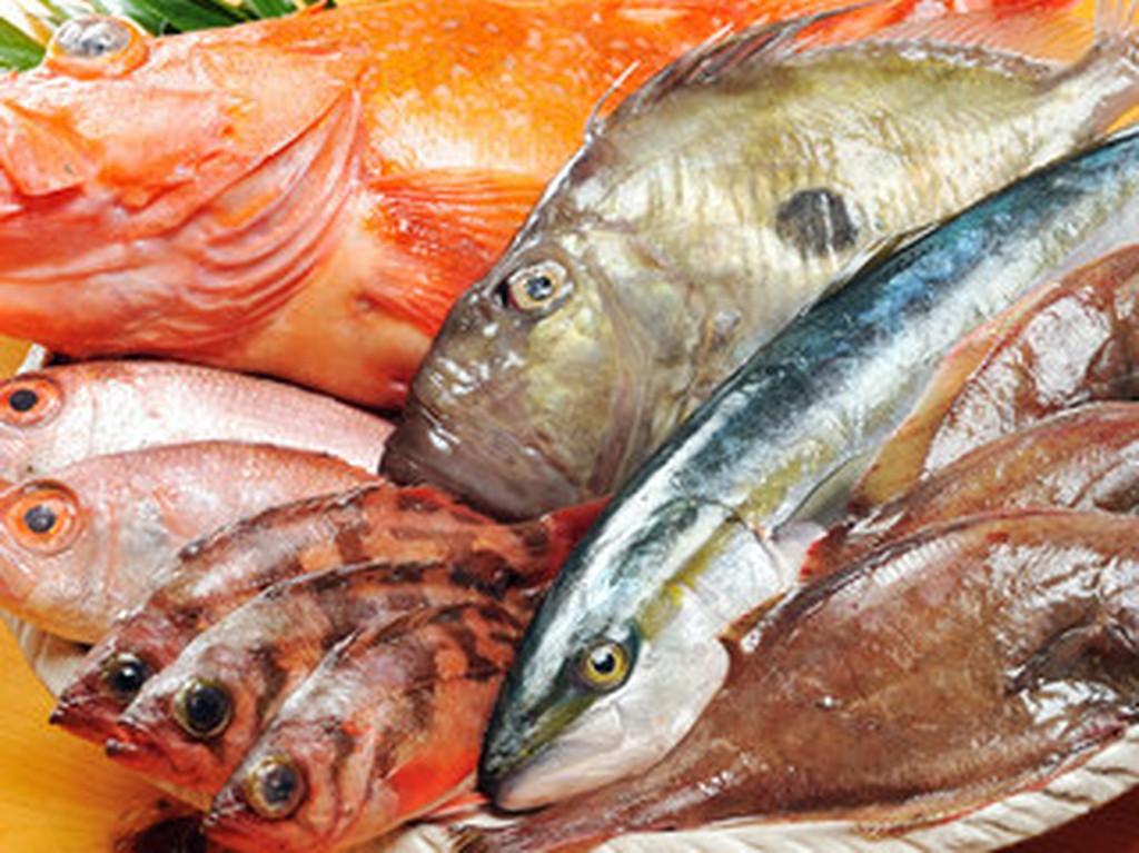 旬の日替わりメニュー。いつも新鮮なお魚を用意しております。