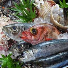 小名浜港　久ノ浜港で水揚げされた新鮮な魚介類。