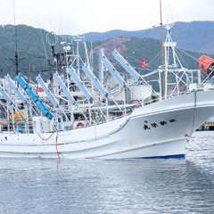 新栄丸最高の状態で水揚、極上の鮮度の美味さをお届けします。