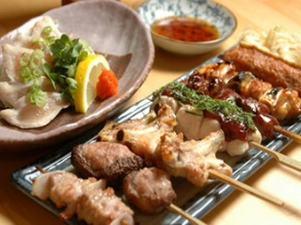 お料理おまかせコース