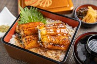 ふんわりのうなぎ蒲焼
お重にのせて、至福のひとときを