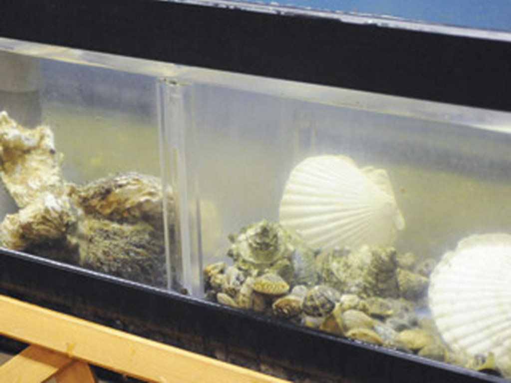 店主で料理人親子が毎月旨し楽しをテーマに創作料理でおもてなし