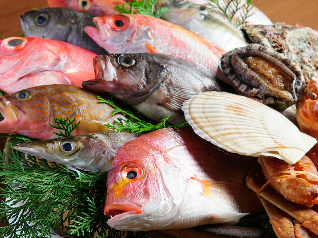 本日のおすすめの魚『桶樽』