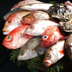 ...Enjoy the essence of fish cuisine! ..."Today's Big Catch Bucket Serving Course" 8 dishes 4,400 yen (tax included) "All-you-can-drink" 5,500 yen (tax included)