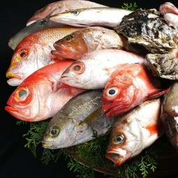 おやじさんが目利きしたド迫力の桶盛!!なにせ、ここは神戸で桶盛初めて始めたベテラン板前のお店！