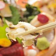 7月からの今の時期、西貝が旬！千葉県でも西貝を扱うお店は多くありません、こうすけで食してみては？