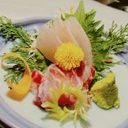 真だいの刺身 ・Red sea bream sashimi