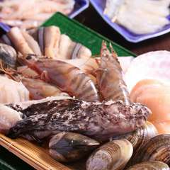 新鮮素材を腕利きの料理人が調理します