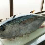 沼津港から毎朝直送。駿河湾をはじめ近海、遠洋の魚介をお届け