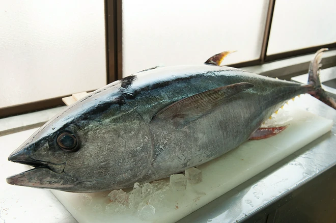 食材にこだわっている