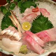 四国・松山より天然魚・貝を毎日空輸鮮度が違う！