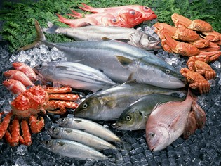 瀬戸内海からから届く天然魚、旬に合わせた日本各地の逸品
