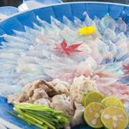 瀬戸内のカワハギを薄造りにして、キモをといたポン酢でお召し上がりください。