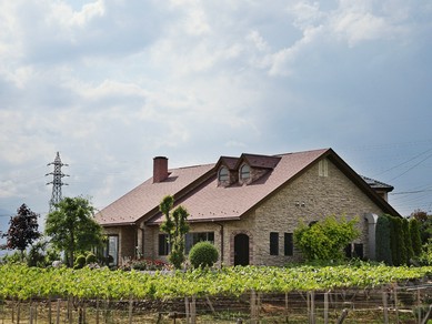 自家ブドウ園に囲まれた絶景のロケーション