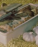 ワインのお供、これさえあれば大丈夫、パンとピクルスで立派な一品、