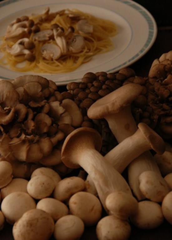 森のキノコとパスタ
