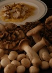 いろいろなキノコ達をアルデンテに茹で上げたパスタにからめ、たっぷりのチーズでどうぞ