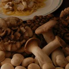 森のキノコとパスタ