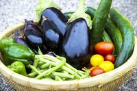 その時期に入荷する野菜達、水を加えず自身が持っている水分だけで煮込みます、フランスの惣菜の定番料理。