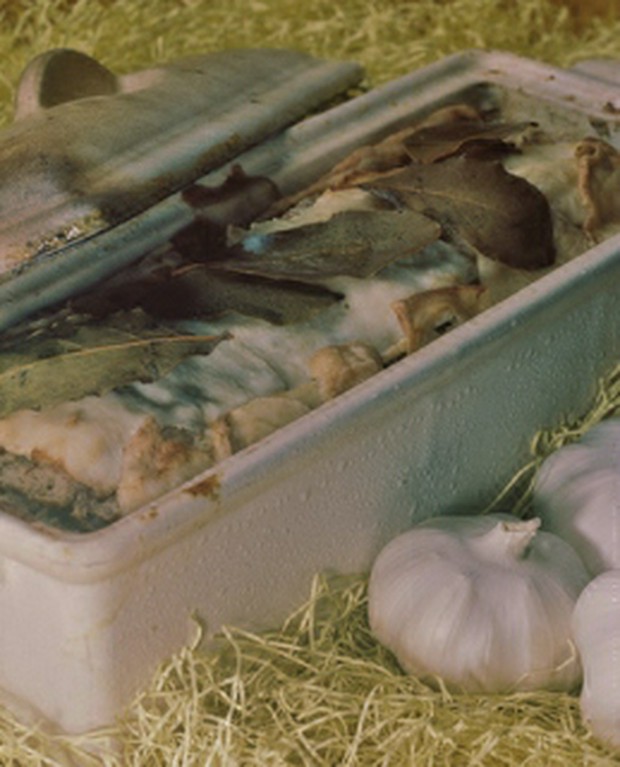 田舎風　お肉のテリーヌ　パテ　ド　カンパーニュ