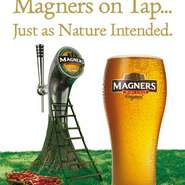 MAGNERS Irish Cider 1pint / 1/2pint