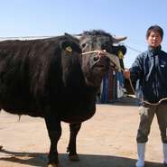 小川牧場で育てた長崎黒毛和牛