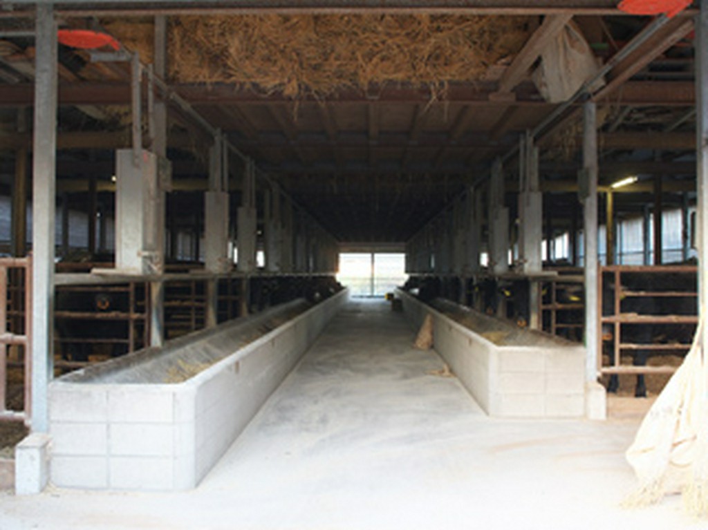 県内でも有数の肥育農家です。