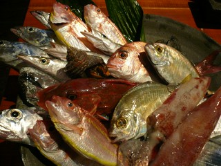 本日夕方獲れたて魚