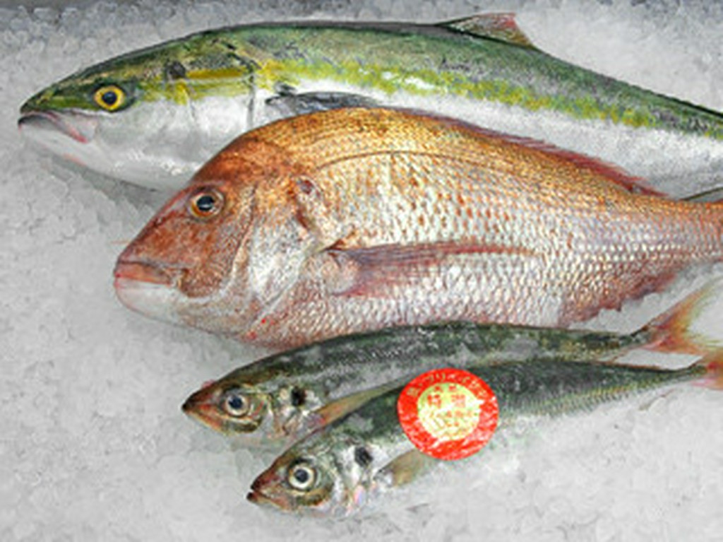 ※その他　その日仕入れた鮮魚を　ご要望に沿って調理致します。