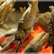 囲炉裏を囲み、自慢の料理に舌つづみ