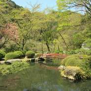 和の彩りと調和を切り抜いた、揖斐川丘苑の中庭