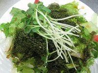 ハーフ　480円