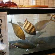 一部メニューは、いけすの魚を捌いて提供します。家族に連れられた小さなお子様からも、生け簀は好評です。