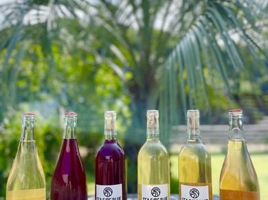 ナチュラルワイン『SEA SIDE BLUE』を取り揃えております。