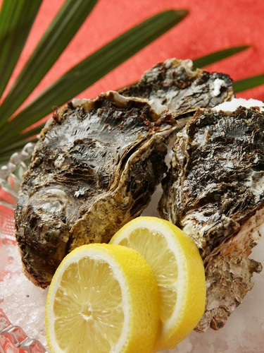 旬の海鮮料理はその日のお勧め！