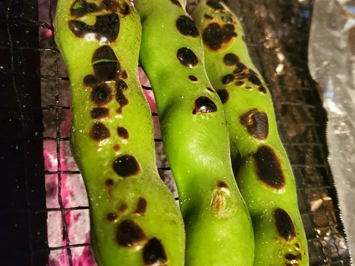 季節の旬野菜も楽しんで