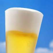 会席料理と生ビール・日本酒・焼酎・ワインなどなど豊富なメニューを楽しめる９0分飲み放題付き