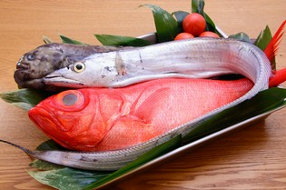 北海道産をはじめ、日本全国から取り寄せた「鮮魚」
