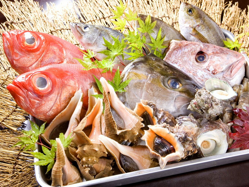 鮮魚～地物など～