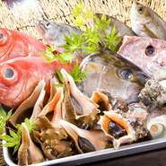 いつも新鮮な魚貝類を取り揃えております。