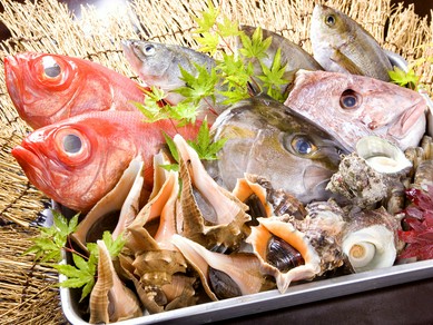 鮮魚～地物など～