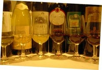 品質の高いコルテーゼ種の葡萄から造られたしっかりとした個性のある有機栽培白ワイン。
